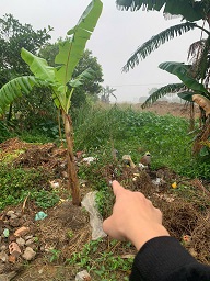 ► BÁN ĐẤT GIÁ TỐT – SỔ ĐỎ CHÍNH CHỦ