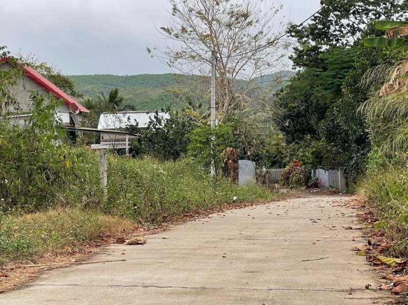 đất mặt tiền lê duẩn khánh vĩnh – tiềm năng đầu tư – 850 triệu