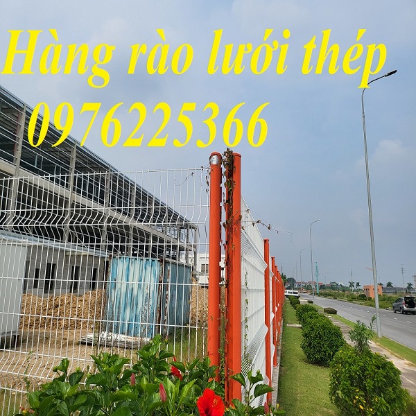Giá lưới hàng rào sơn tĩnh điện D4, D5, D6, D8