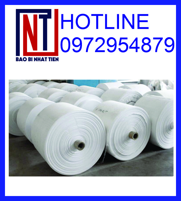 Cung cấp cuộn PP giá rẻ, manh PP dạng cuộn