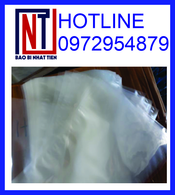 Chuyên sản xuất túi PA tại TP.HCM