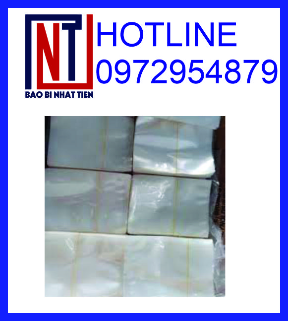 Chuyên sản xuất túi PA tại TP.HCM