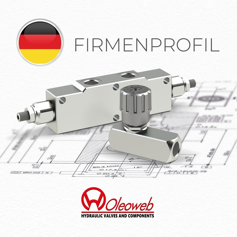 Van tay gạt thủy lực, van chống lún thủy lực, van cân bằng thủy lực