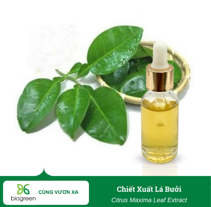 Cung Cấp Nguyên Liệu Mỹ Phẩm Thiên Nhiên Chất Lượng Cao, Giá Hợp Lý