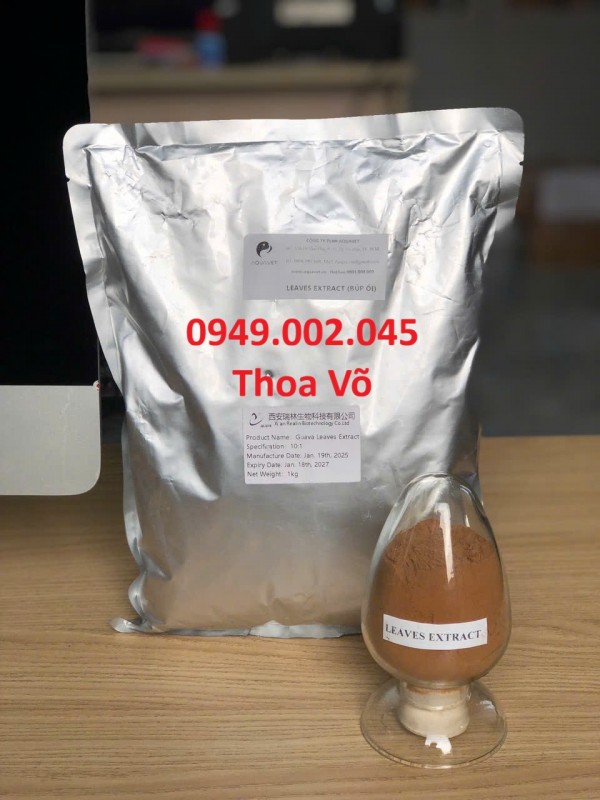 BÚP ỔI (LEAVES EXTRACT) – Kháng Sinh Tự Nhiên, Tăng Đề Kháng & Hỗ Trợ Tiêu Hóa Thủy Sản, Gia Cầm