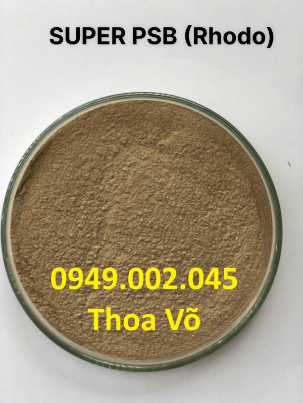 SUPER PSB Rhodo – Vi Khuẩn Quang Hợp Xử Lý Nước, Giảm Khí Độc & Ổn Định Ao Nuôi Tôm Cá