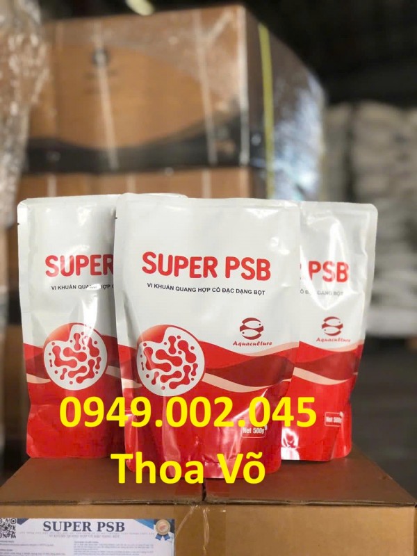 SUPER PSB Rhodo – Vi Khuẩn Quang Hợp Xử Lý Nước, Giảm Khí Độc & Ổn Định Ao Nuôi Tôm Cá