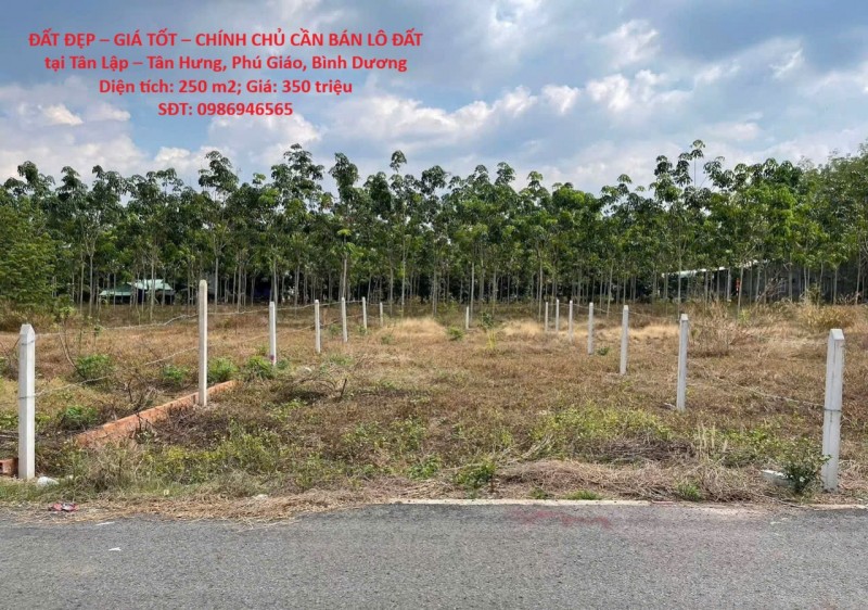 ĐẤT ĐẸP – GIÁ TỐT – CHÍNH CHỦ CẦN BÁN LÔ ĐẤT tại Tân Lập – Tân Hưng, Phú Giáo, Bình Dương