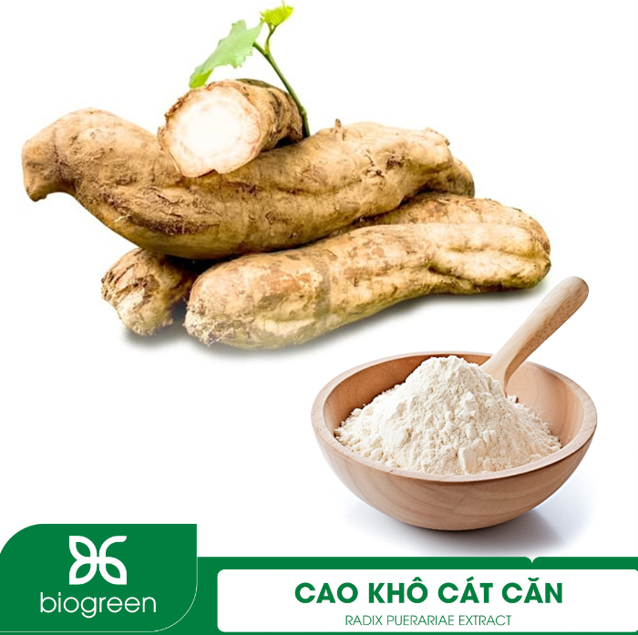 Cung cấp cao khô Cát căn giải nhiệt mùa nóng