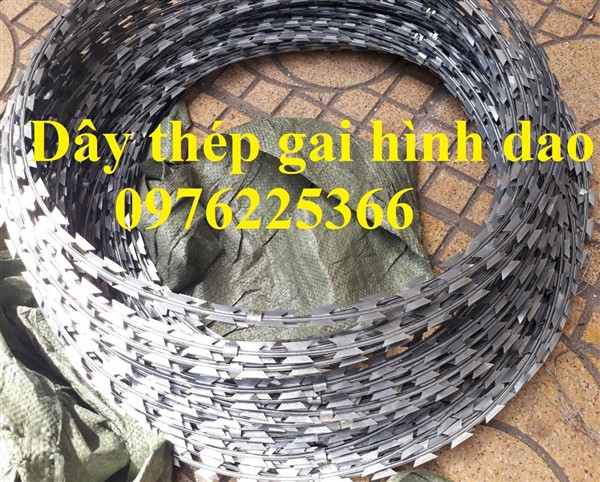 Dây kẽm gai hàng rào 60cm