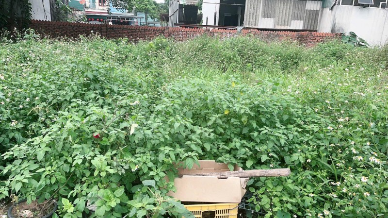 HƠN 3 TỶ NHỎ – SỞ HỮU NGAY LÔ ĐẤT ĐẸP ĐÔNG ANH DT 52m² full thổ cư – mặt tiền rộng 5m vuông vắn