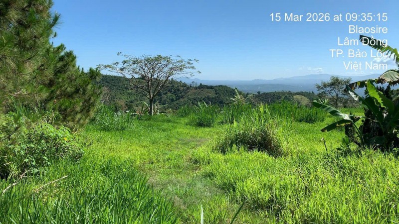 BÁN NHANH ĐẤT NGHỈ DƯỠNG HOMESTAY – LÂM ĐỒNG GIÁ TỐT