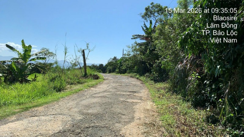 BÁN NHANH ĐẤT NGHỈ DƯỠNG HOMESTAY – LÂM ĐỒNG GIÁ TỐT