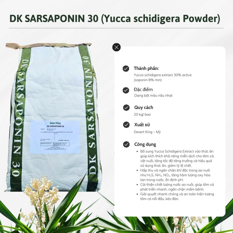 YUCCA BỘT MỸ – DK SARSAPONIN 30 HẤP THỤ KHÍ ĐỘC - NGUYÊN LIỆU THỦY SẢN