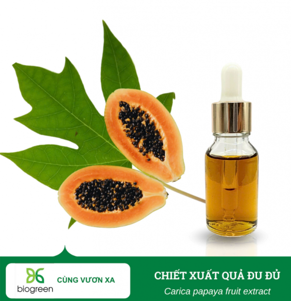 Chiết xuất đu đủ Biogreen Bí quyết cho làn da sạch mụn