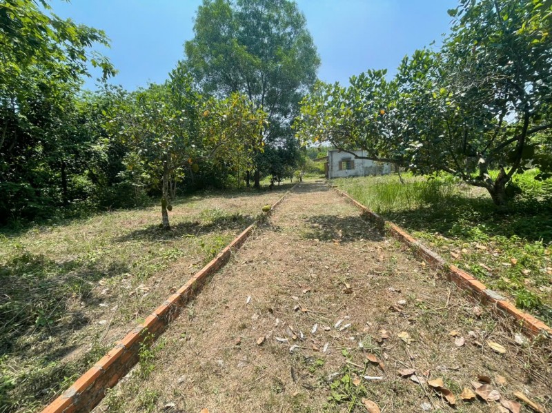 ĐẤT ĐẸP – GIÁ TỐT – CHÍNH CHỦ CẦN BÁN 2 LÔ ĐẤT An Nhơn Tây, Củ Chi, TP.HCM