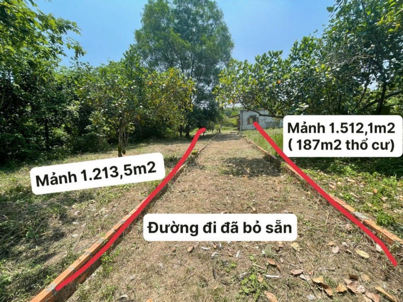 ĐẤT ĐẸP – GIÁ TỐT – CHÍNH CHỦ CẦN BÁN 2 LÔ ĐẤT An Nhơn Tây, Củ Chi, TP.HCM