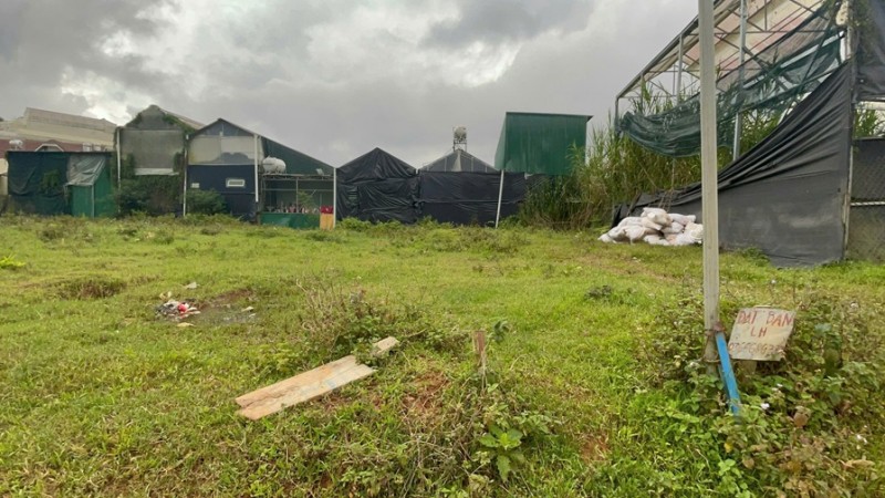 CHÍNH CHỦ BÁN LÔ ĐẤT Vị Trí Đắc Địa PHƯỜNG 7, Đà Lạt, Lâm Đồng