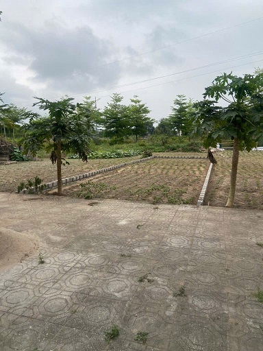 CẦN BÁN ĐẤT TĐP MỄ NỘI – LIÊM CHÍNH – PHỦ LÝ – HÀ NAM