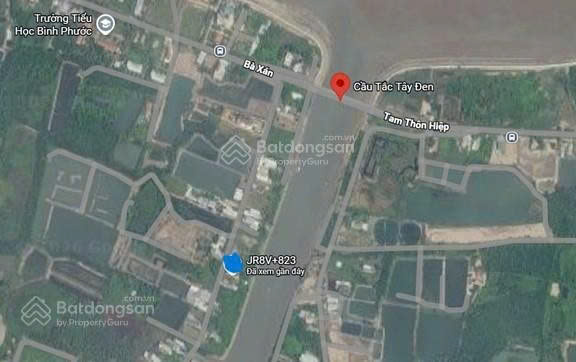 ĐẤT ĐẸP -  GIÁ TỐT – CẦN BÁN ĐẤT BỜ SÔNG GẦN CẦU TẮC TÂY ĐEN – Xã Bình Khánh, Cần Giờ, TP HCM
