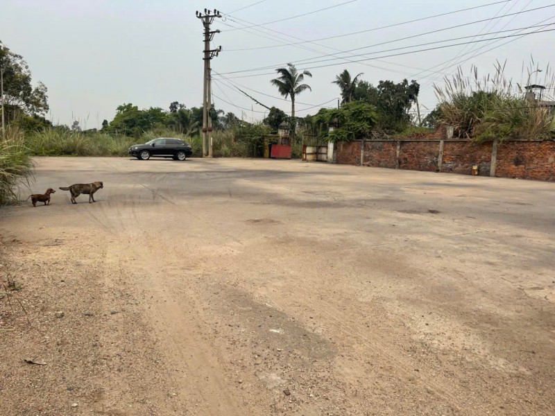 CHO THUÊ MẶT BẰNG DIỆN TÍCH LỚN Ở HUYỆN THUỶ NGUYÊN CŨ