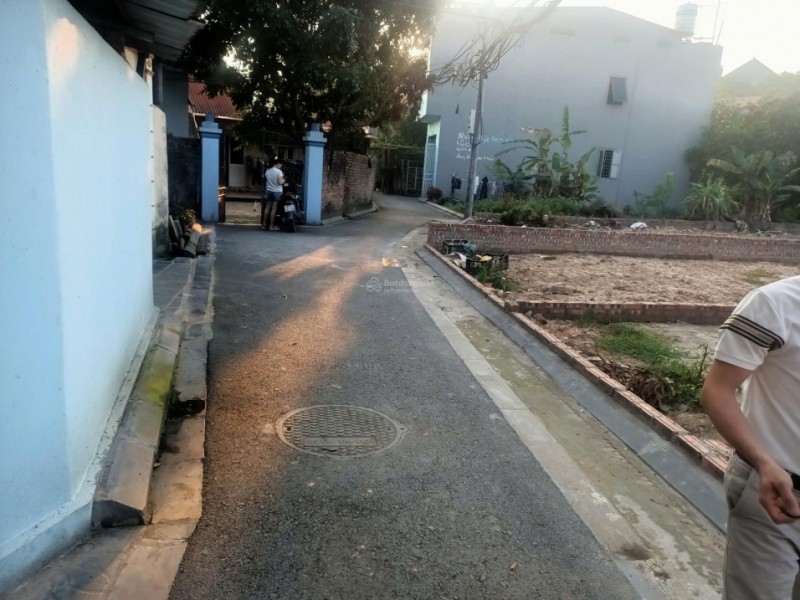 Bán đất xóm Gà Cổ Loa - 80m2 - đường thông ô tô
