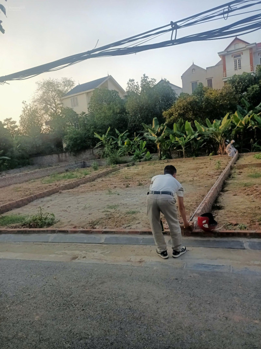 Bán đất xóm Gà Cổ Loa - 80m2 - đường thông ô tô