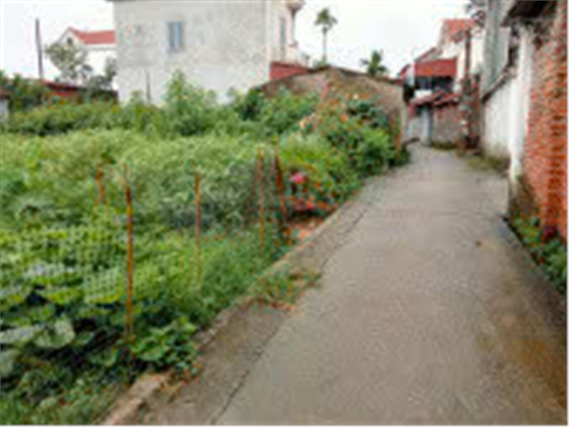 ĐẤT ĐẸP- GIÁ TỐT- SỞ HỮU NGAY Lô đất thổ cư 66 m2 tại xã Phúc Thọ-Hà Nội