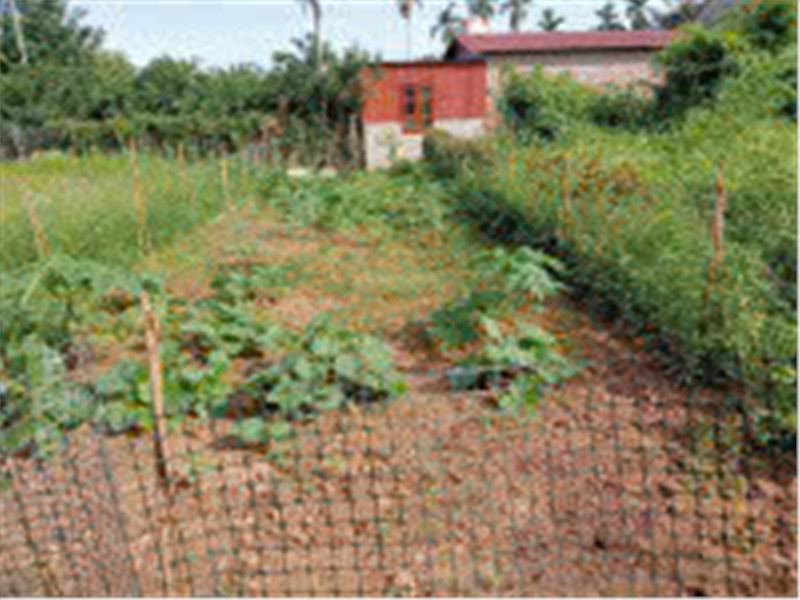 ĐẤT ĐẸP- GIÁ TỐT- SỞ HỮU NGAY Lô đất thổ cư 66 m2 tại xã Phúc Thọ-Hà Nội