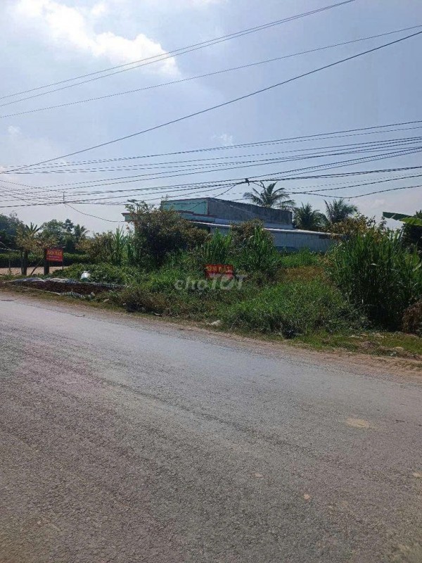 ĐẤT ĐẸP – GIÁ TỐT  – CHÍNH CHỦ CẦN BÁN GẤP Tại Xã Bình Hiệp, Thị xã Kiến Tường, Long An