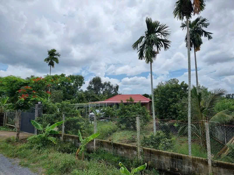 BÁN GẤP VƯỜN TRÁI CÂY VEN KÊNH – 1.100M² – CHỈ 4,8TR/M² – GIÁ MỀM HIẾM CÓ