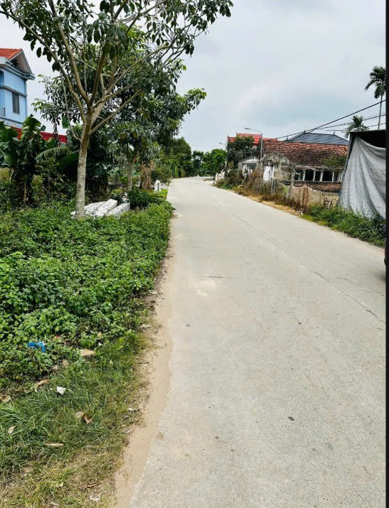 Em có mấy lô đất đẹp tại Nguyên Lý – Lý Nhân – Hà Nam cần bán ạ