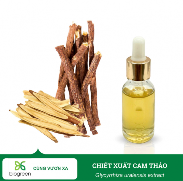 Chiết xuất cam thảo nguyên liệu mỹ phẩm trắng da hiệu quả