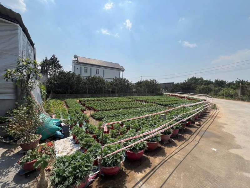 CHÍNH CHỦ Bán hai lô đất măt tiền đường Bến Đôi, Đồng Nai - Giá 2 lô 2,3 tỷ có 100 thổ cư