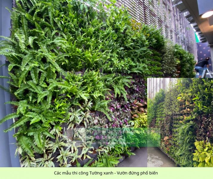 THI CÔNG TƯỜNG XANH – HỆ THỐNG TƯỚI TỰ ĐỘNG NHÀ HÀNG - QUÁN CAFE