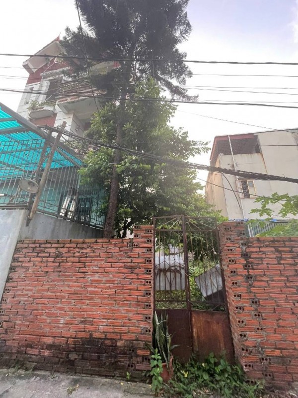 Bán đất Mai Lâm Đông anh- Hàng xóm Vin Cỏ Loa, trục Tứ Liên-130m mặt tiền rộng - nhỉnh 11 tỷ(TL)