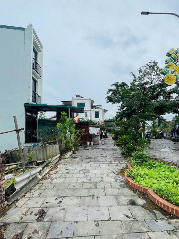 Bán đất Mai Lâm Đông anh- Hàng xóm Vin Cỏ Loa, trục Tứ Liên-130m mặt tiền rộng - nhỉnh 11 tỷ(TL)