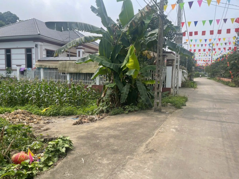 CHÍNH CHỦ BÁN GẤP 2 Ô ĐẤT LIỀN KỀ TẠI VẠN XUÂN, TAM NÔNG, PHÚ THỌ