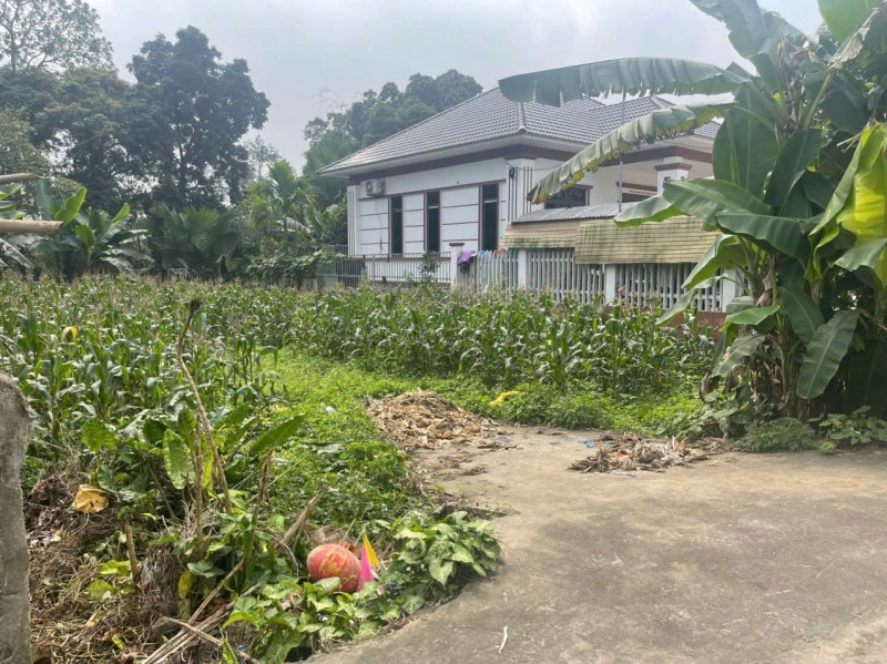 CHÍNH CHỦ BÁN GẤP 2 Ô ĐẤT LIỀN KỀ TẠI VẠN XUÂN, TAM NÔNG, PHÚ THỌ