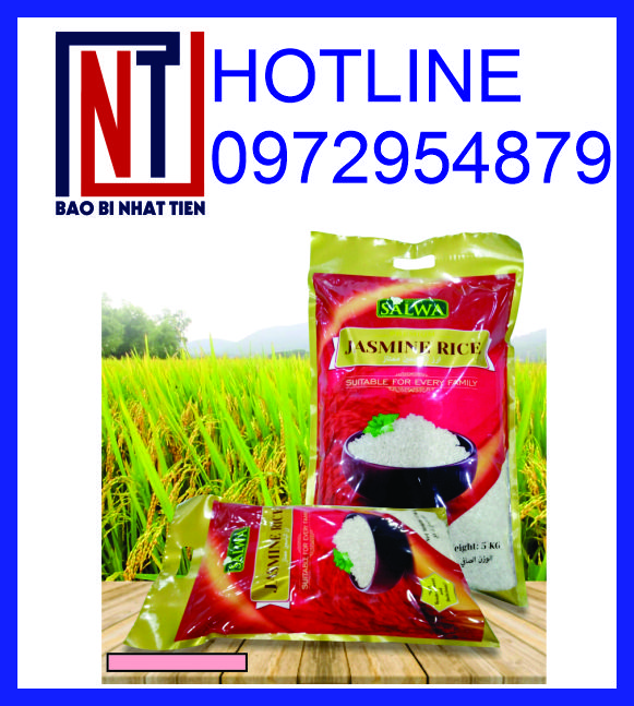 Túi PA 4 cạnh đựng gạo 5kg, cung cấp túi PA đựng gạo