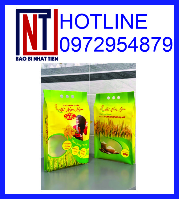 Túi PA 4 cạnh đựng gạo 5kg, cung cấp túi PA đựng gạo