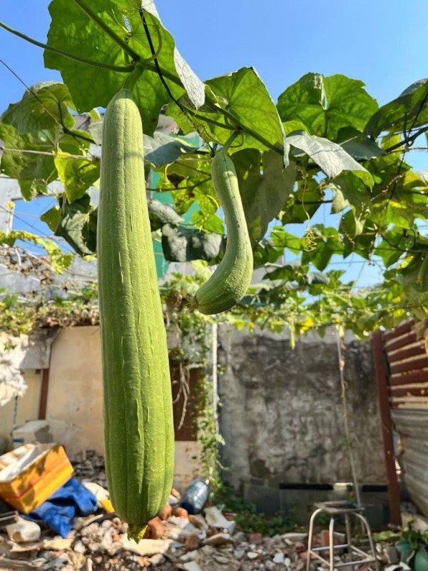 120m2 Đất ở Full Thổ Cư, Nguyễn Bình, Làng Đại Học Nhà Bè, XD tự do Chỉ 3.7 Tỷ