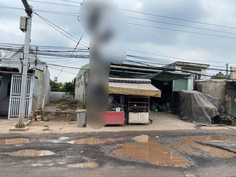 ĐẤT ĐẸP – CHÍNH CHỦ CẦN BÁN ĐẤT Đường Nguyễn Hoàng, Xã Thanh Bình, Huyện Trảng Bom, Đồng Nai.