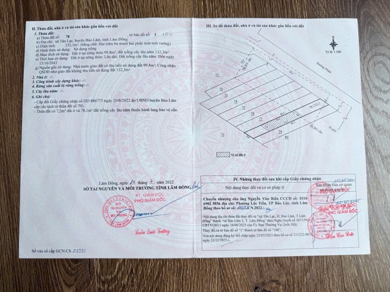 ĐẤT ĐẸP- GIÁ TỐT CHÍNH CHỦ CẦN BÁN NHANH LÔ ĐẤT TIỀM NĂNG TẠI huyện Bảo Lâm, tỉnh Lâm Đồng