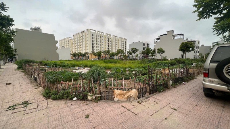 Hàng hiếm bán đất lô góc đẹp rộng gần 130m2 ngay khu C - kdt Vũ Phúc sầm uất