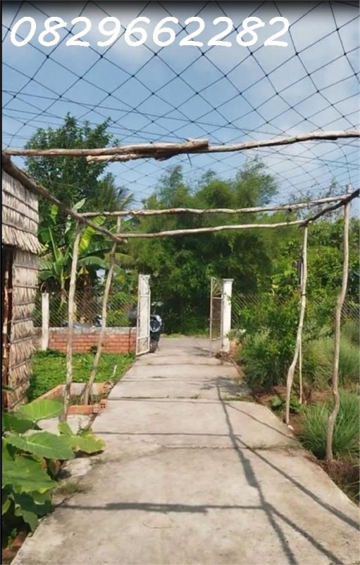 Bán Đất Thổ Cư 864m2 Sổ Hồng đường Nguyễn An Ninh Tân Quy Đông, Sa Đéc, Đồng Tháp, giá 2.5 Tỷ