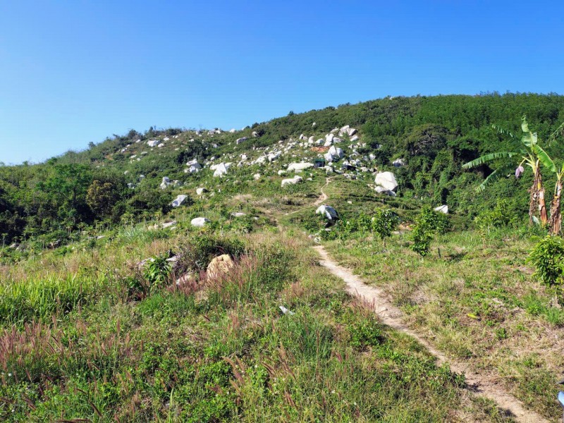 ĐẤT ĐẸP – GIÁ TỐT – CẦN BÁN GẤP LÔ ĐẤT – Thôn Quãng Phú – Xã Cam Hiệp – Huyện Cam Lâm – Khánh Hòa