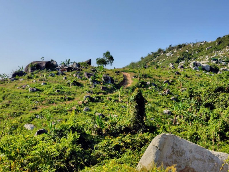 ĐẤT ĐẸP – GIÁ TỐT – CẦN BÁN GẤP LÔ ĐẤT – Thôn Quãng Phú – Xã Cam Hiệp – Huyện Cam Lâm – Khánh Hòa