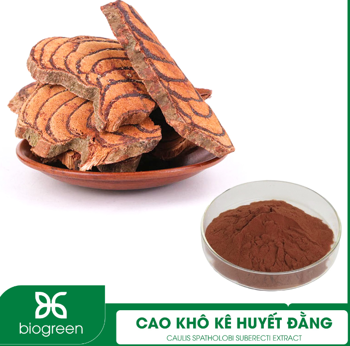 Cung cấp cao khô Cỏ máu hỗ trợ lưu thông khí huyết, điều hòa kinh nguyệt