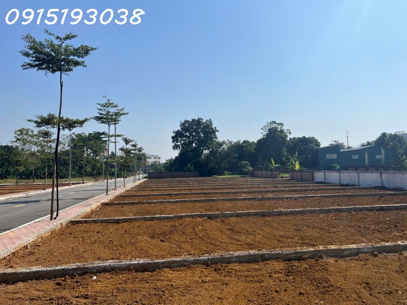 TÔI CHÍNH CHỦ CẦN TIỀN BÁN CẮT LỖ LÔ ĐẤT VÀNG Ở PHÚ CÁT - SÁT VÁCH TỈNH LỘ 446 - QUỐC LỘ 21